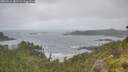 ./images/calvert/foggy-cove/20260616/foggy-cove20260616_081502M.jpg