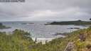./images/calvert/foggy-cove/20260616/foggy-cove20260616_082501M.jpg