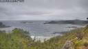 ./images/calvert/foggy-cove/20260616/foggy-cove20260616_083001M.jpg