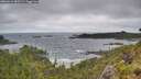 ./images/calvert/foggy-cove/20260616/foggy-cove20260616_083501M.jpg