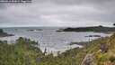 ./images/calvert/foggy-cove/20260616/foggy-cove20260616_084002M.jpg