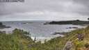 ./images/calvert/foggy-cove/20260616/foggy-cove20260616_084502M.jpg
