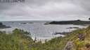 ./images/calvert/foggy-cove/20260616/foggy-cove20260616_085001M.jpg