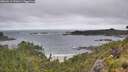 ./images/calvert/foggy-cove/20260616/foggy-cove20260616_091001M.jpg