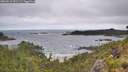 ./images/calvert/foggy-cove/20260616/foggy-cove20260616_091501M.jpg