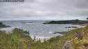 ./images/calvert/foggy-cove/20260616/foggy-cove20260616_092001M.jpg