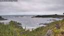 ./images/calvert/foggy-cove/20260616/foggy-cove20260616_092501M.jpg