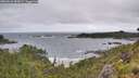 ./images/calvert/foggy-cove/20260616/foggy-cove20260616_093001M.jpg