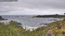 ./images/calvert/foggy-cove/20260616/foggy-cove20260616_093501M.jpg