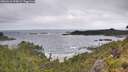 ./images/calvert/foggy-cove/20260616/foggy-cove20260616_094002M.jpg
