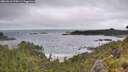 ./images/calvert/foggy-cove/20260616/foggy-cove20260616_094501M.jpg