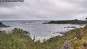 ./images/calvert/foggy-cove/20260616/foggy-cove20260616_095001M.jpg