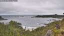 ./images/calvert/foggy-cove/20260616/foggy-cove20260616_095501M.jpg