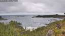 ./images/calvert/foggy-cove/20260616/foggy-cove20260616_100501M.jpg