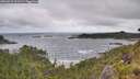 ./images/calvert/foggy-cove/20260616/foggy-cove20260616_101501M.jpg