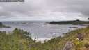 ./images/calvert/foggy-cove/20260616/foggy-cove20260616_102002M.jpg