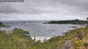 ./images/calvert/foggy-cove/20260616/foggy-cove20260616_102501M.jpg