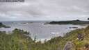 ./images/calvert/foggy-cove/20260616/foggy-cove20260616_104501M.jpg