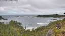 ./images/calvert/foggy-cove/20260616/foggy-cove20260616_105001M.jpg