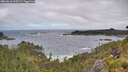 ./images/calvert/foggy-cove/20260616/foggy-cove20260616_105501M.jpg