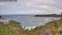 ./images/calvert/foggy-cove/20260616/foggy-cove20260616_110001M.jpg