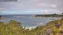 ./images/calvert/foggy-cove/20260616/foggy-cove20260616_110501M.jpg