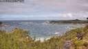 ./images/calvert/foggy-cove/20260616/foggy-cove20260616_111002M.jpg