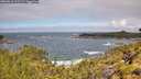 ./images/calvert/foggy-cove/20260616/foggy-cove20260616_111501M.jpg