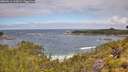 ./images/calvert/foggy-cove/20260616/foggy-cove20260616_112001M.jpg