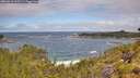 ./images/calvert/foggy-cove/20260616/foggy-cove20260616_112501M.jpg