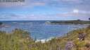 ./images/calvert/foggy-cove/20260616/foggy-cove20260616_113001M.jpg