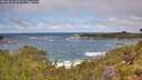 ./images/calvert/foggy-cove/20260616/foggy-cove20260616_113501M.jpg