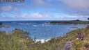 ./images/calvert/foggy-cove/20260616/foggy-cove20260616_114501M.jpg