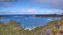 ./images/calvert/foggy-cove/20260616/foggy-cove20260616_115001M.jpg