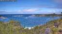 ./images/calvert/foggy-cove/20260616/foggy-cove20260616_115501M.jpg