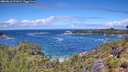 ./images/calvert/foggy-cove/20260616/foggy-cove20260616_121001M.jpg