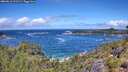 ./images/calvert/foggy-cove/20260616/foggy-cove20260616_121501M.jpg