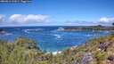 ./images/calvert/foggy-cove/20260616/foggy-cove20260616_122002M.jpg