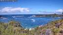 ./images/calvert/foggy-cove/20260616/foggy-cove20260616_122501M.jpg