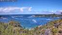 ./images/calvert/foggy-cove/20260616/foggy-cove20260616_123001M.jpg