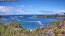 ./images/calvert/foggy-cove/20260616/foggy-cove20260616_124001M.jpg