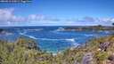 ./images/calvert/foggy-cove/20260616/foggy-cove20260616_124501M.jpg
