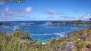 ./images/calvert/foggy-cove/20260616/foggy-cove20260616_125501M.jpg
