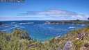 ./images/calvert/foggy-cove/20260616/foggy-cove20260616_133501M.jpg