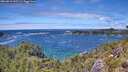 ./images/calvert/foggy-cove/20260616/foggy-cove20260616_135501M.jpg