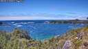 ./images/calvert/foggy-cove/20260616/foggy-cove20260616_142001M.jpg