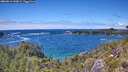./images/calvert/foggy-cove/20260616/foggy-cove20260616_143001M.jpg