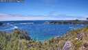 ./images/calvert/foggy-cove/20260616/foggy-cove20260616_143501M.jpg