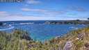 ./images/calvert/foggy-cove/20260616/foggy-cove20260616_144501M.jpg