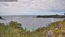 ./images/calvert/foggy-cove/20260616/foggy-cove20260616_154001M.jpg